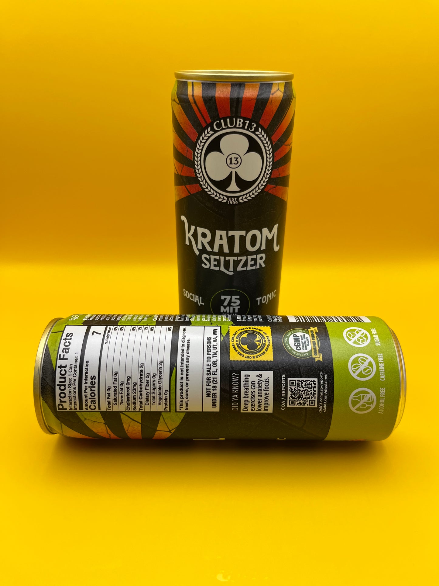 75 MIT Seltzer