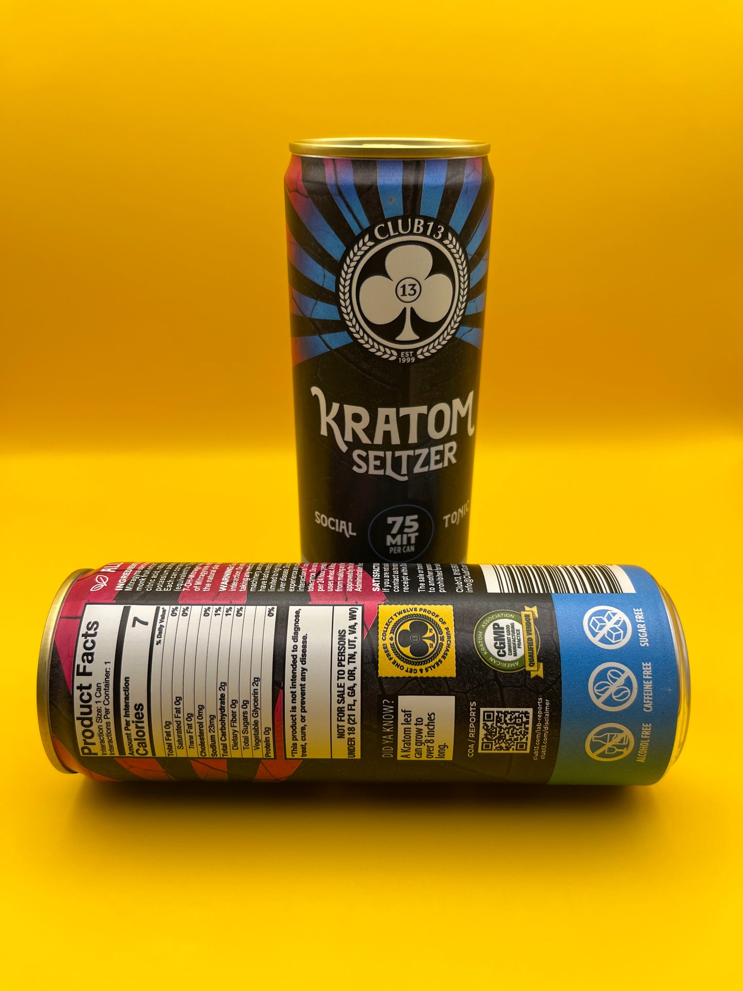 75 MIT Seltzer