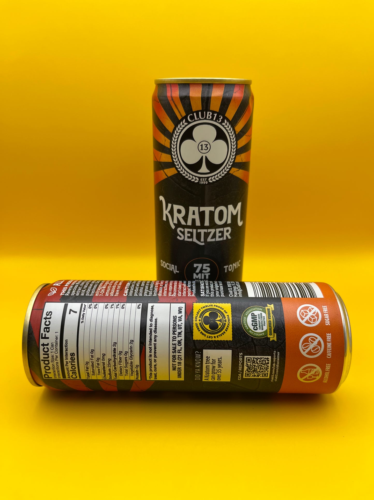 75 MIT Seltzer