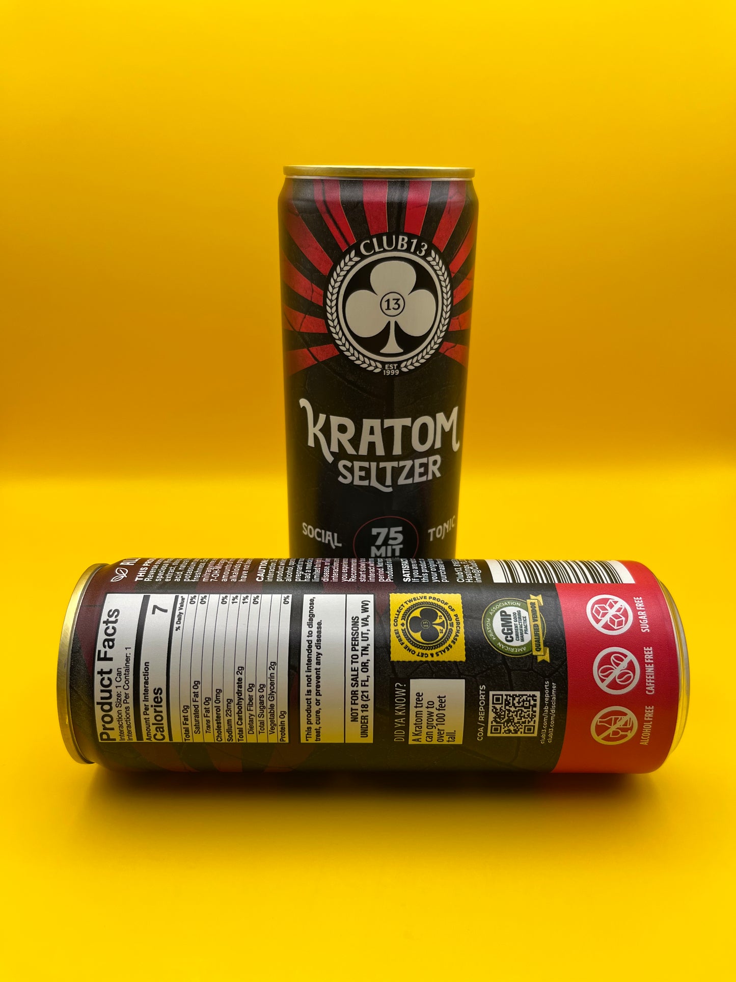 75 MIT Seltzer